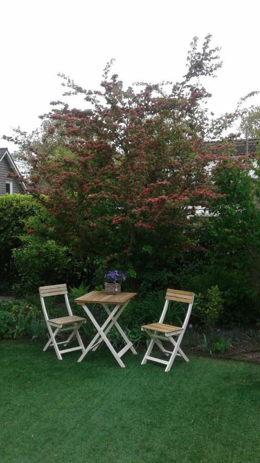 B&B Witvliet, Kamers En Studio Met Heerlijk Ontbijt ! ザウテランデ エクステリア 写真